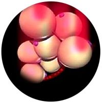 Wirkprinzip der SLIMSTYLER-Anwendung - Fettzellen werden mit Laserenergie bestrahlt